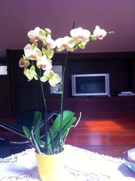 B&B Independente อาซซาโก ภายนอก รูปภาพ